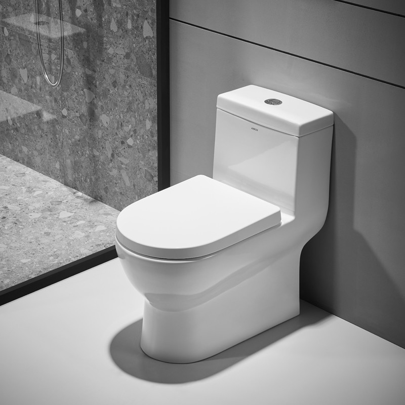 Modern Ceramic 1 Piece Elongated Toilet Dual Flush 0.9/1.3 GPF