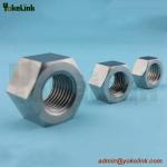 Hex Nut