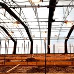 PE Film Poly Tunnel American Cannabis Cultivation Automated Blackout Greenhouse
