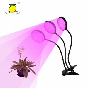 Quality 12H Plant Grow Lamp wholesale