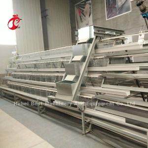 Quality Semi Automatic Poultry Layer Cage Feeding System 1.5KW 380V Doris wholesale