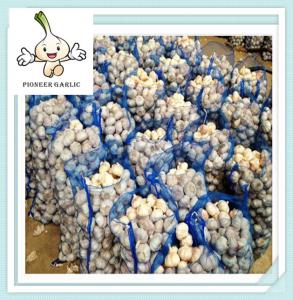 Quality 2016 Fresh while garlic with Top qulaity From China ,Hot!!! wholesale