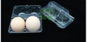 Quality factory direct supply egg trays 2 holes/PVC/PET/blister products wholesale