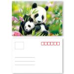 Fashion Eco - Friendly 3D Plastic Cards / Lenticular Postcard Printing