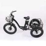 High Capacity Family Cargo Bike with Torque 80-90 Nm and Rear Carrier Battery