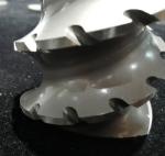Screw Segments And Kneading Block For Petrochemical