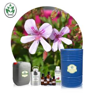 Quality CAS 8000-46-2 100% Pure Rose Geranium Essential Oil Body SPA Use wholesale