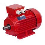 Gost Standard motor