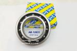 AB.12831 automotive gearbox bearings differential bearings nylon cage ball
