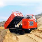 8 Ton Diesel Mobile Crawler Dumper Truck Engineering Rubber Tracks With Super