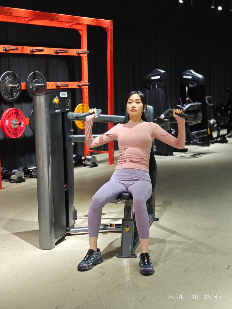Shoulder Press Ax Series Indoor Commercial Pin Loaded Gym Equipment with Neutral and Overhand Handle Positions for Distribution