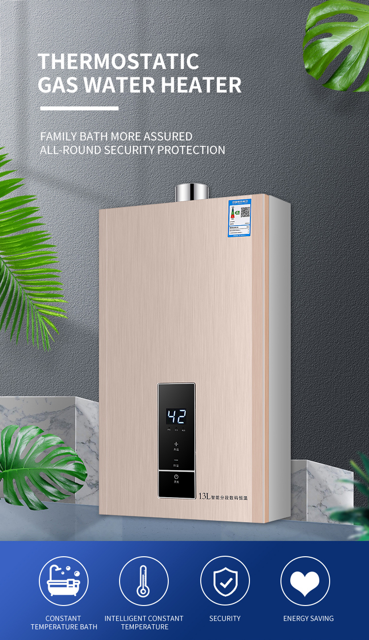 Natural LP Gas Tankless Water Heater Hot Water Boiler 16000W 10L-16L