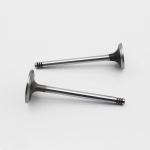 20798699 20798533 Diesel Engine Valve D6D D6E Intake Exhaust Valve For Volvo