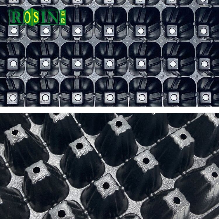Flexibility Deep 128 Cell Plug Tray Breaking Resistant For Greenhouse And Vegetables