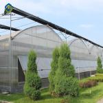 Clear Sawtooth Roof Multi Span Greenhouse Plastic Sheeting ISO9001 2008