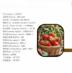 2.05-inch AMOLED Display Screen With 368*448 Resolution For Outdoor Definition