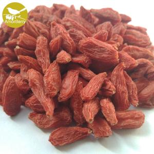 Quality Factory supply different types no addition organic dried goji berries High Quality Dired Natural wholesale