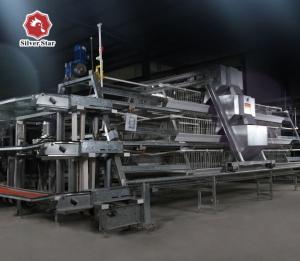 Quality A Type Layer Chicken Battery Cages Hot Galvanized Wire Mesh wholesale