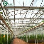 PE Grow Bags and Automatic Control System Ideal for South Korea Agricultural