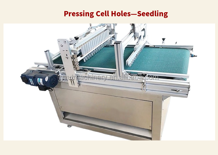 Customised Nursery Seeding Machine with Automatic Seed Planting and CE Certification