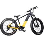 Electric Mountain Bike High Power 1000W Bafang Dual Motor and Rear Drive Speed