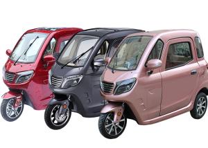 Quality 1500W EEC/COC Certificate 3 Wheel Cabin Trike OEM Color ABS Hnad Brake wholesale