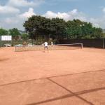 Basketball Field Liquid Soil Stabilizer For Road Construction Surface