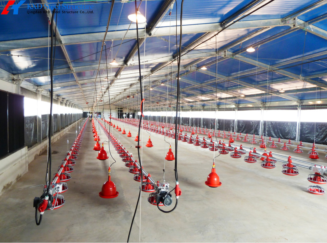 Q345 Q235 Steel Poultry House Onsite Installation With Automatic Equipment