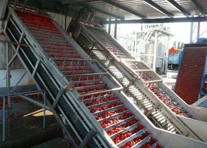 Quality Strawberry Blueberry Berry Processing Equipment / Juice Production Machine wholesale