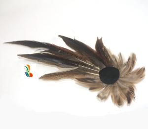 Quality Suit Decoration Goose Hackle Feather Brooch With Wire Accessory 10x30Cm wholesale
