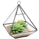 2016 new hanging clear glass prism air plant terrarium tabletop succulent plants