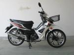 4 Stroke Manual Clutch 110cc Cub Sport Motorcycle