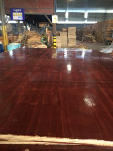 Quality Shandong Linyi Film Faced Plywood Marine Plywood Construction Plywood wholesale