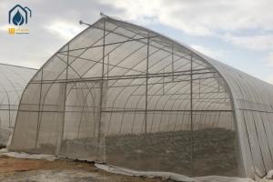 Quality Oval Tube Film Multi Span Greenhouse Arched Commercial Greenhouse Frame wholesale