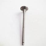 Customized Sinotruk HOWO Spare Parts Wd615 Engine Air Exhaust Intake Valve