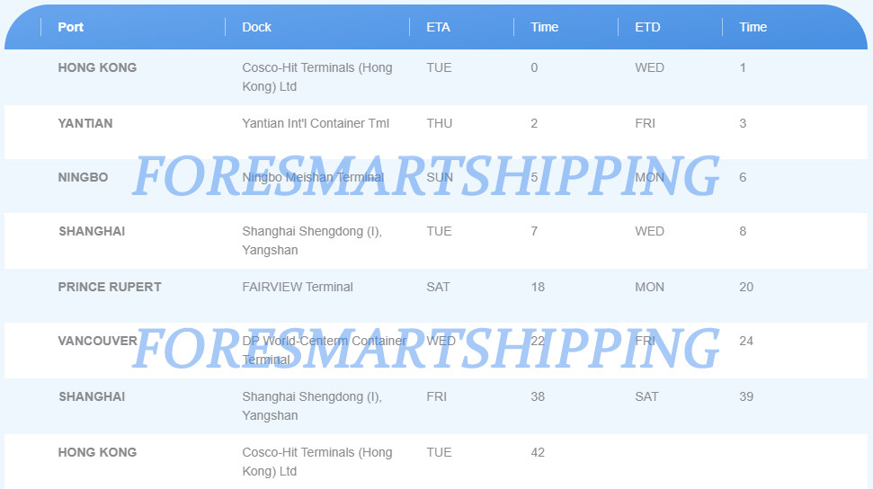 Shenzhen LCL Sea Freight , China To Canada LCL Ocean Shipping