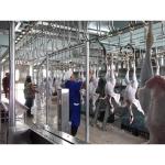 304 Stainless Steel Chicken Slaughter Equipment with 380V Voltage and Easy