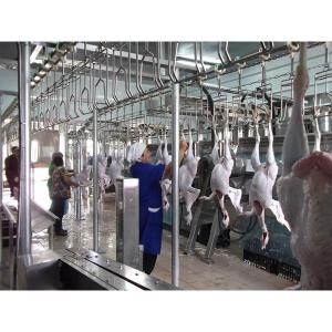 Quality Poultry Bloodletting Conveying Line 200BPH - 10000BPH Capacity For Farms wholesale