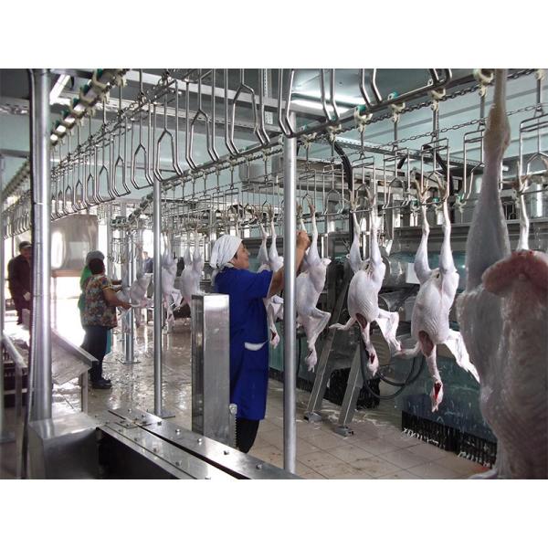 304 Stainless Steel Chicken Slaughter Equipment with 380V Voltage and Easy