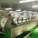 Antiseptic Antibacterial Sanitizing Disinfectant Sterilization Wipes Benzalkoniu