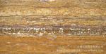 Gold / Yellow Travertine Marble Decorative Plate Polish Honed CE Certification