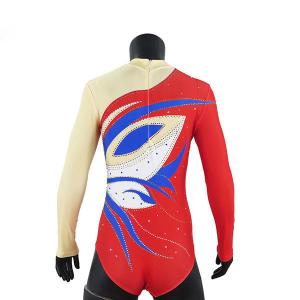 Quality Stretchable Long Sleeve Gymnastics Training Leotards , Girls Gymnastics Leotards wholesale