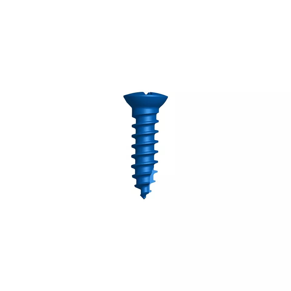 Mini Cross Fit Locking Skull Maxillofacial Screw Orthopedic Surgical Implant