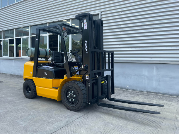 EVERLIFT EPA Engine 2.5ton 3 Ton Forklift Gas LPG Gasoline Forklift Truck 3500 Kgs With Side Shifter