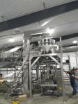 V520 Food Grains Packing Machine