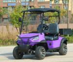 Golf Trucks Equipped With Off-Road Tires And Aluminum Alloy Cargo Box Super Load