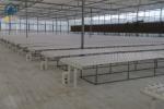 Greenhouse Vegetables Lettuce Grow Hydroponic System NFT Vertical Hydroponic