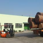 Landscape Custom Wood Veneer Modern Door Design 2050-3200mm