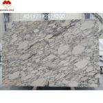 Statuario Venato Marble Italy White Marble Arabescato Marble Stone for Vanity