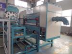 Natural Gas Egg Tray Production Line , Rotary Type Pulp Molding Machine